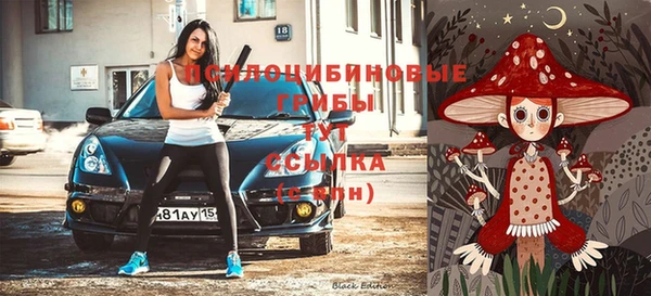 хмурый Абинск