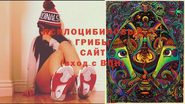 хмурый Новокубанск