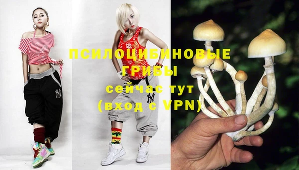 хмурый Абинск