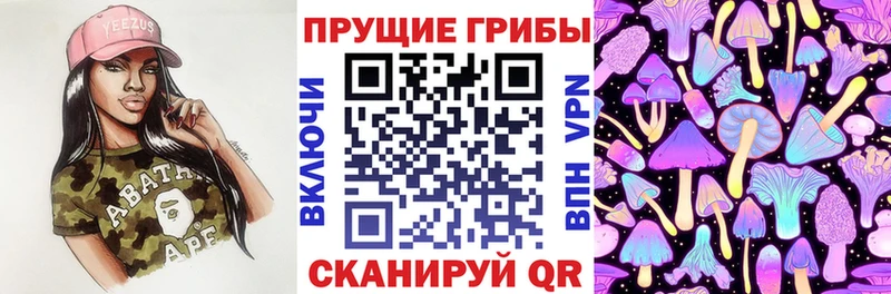 даркнет сайт  Астрахань  Псилоцибиновые грибы Psilocybe 