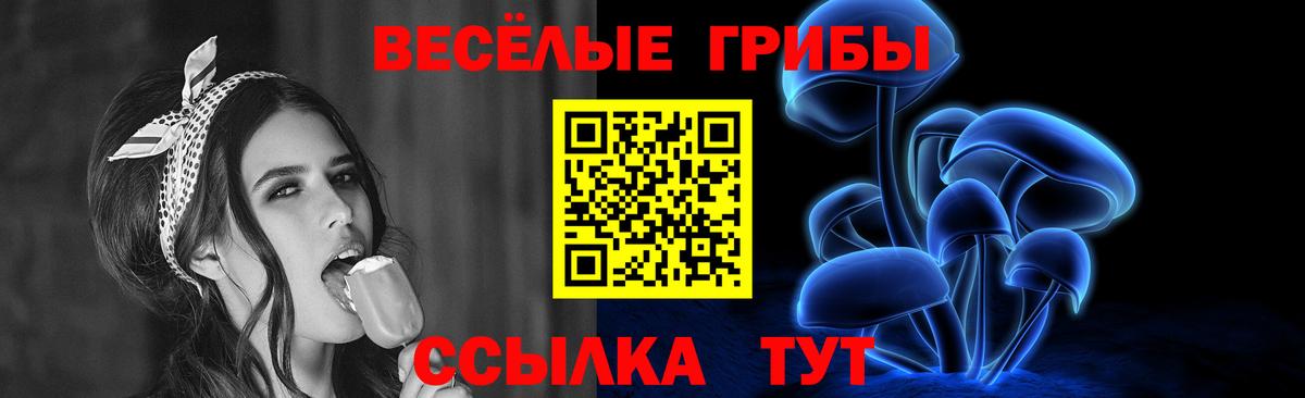 Псилоцибиновые грибы прущие грибы Астрахань