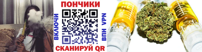 Бошки марихуана конопля Астрахань